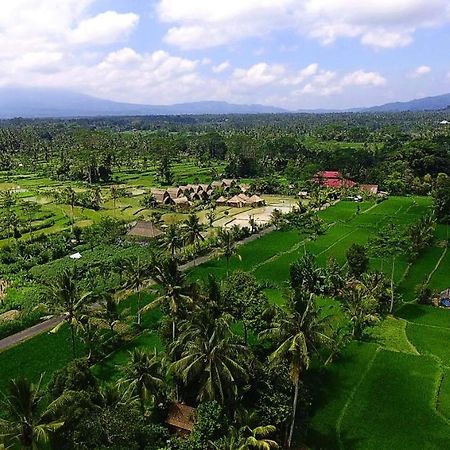 De Klumpu Bali Eco Tradi Stay Bangli Exteriér fotografie