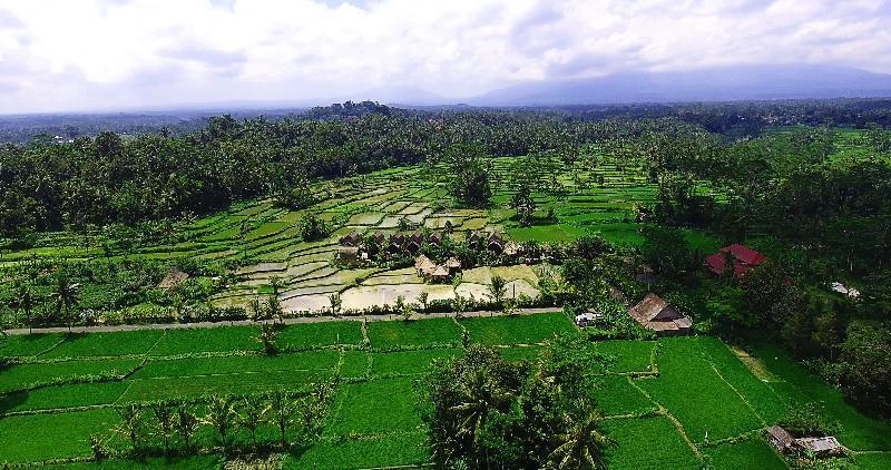 De Klumpu Bali Eco Tradi Stay Bangli Exteriér fotografie