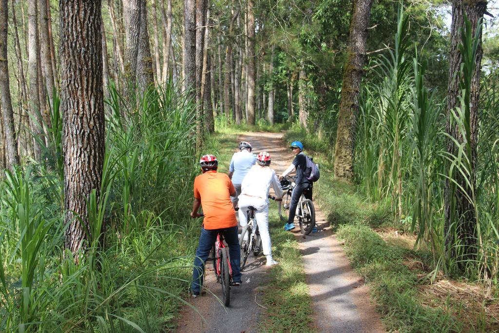 De Klumpu Bali Eco Tradi Stay Bangli Exteriér fotografie