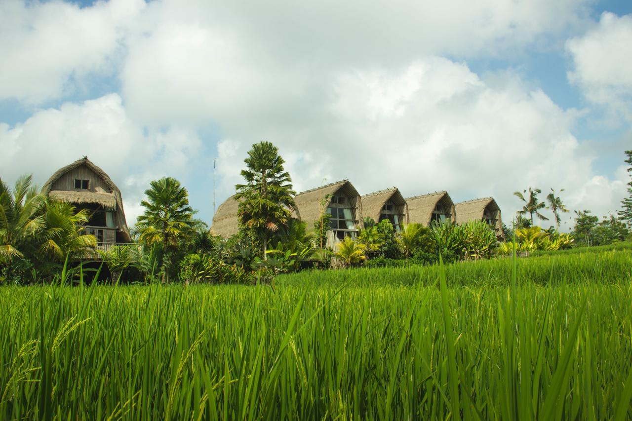 De Klumpu Bali Eco Tradi Stay Bangli Exteriér fotografie