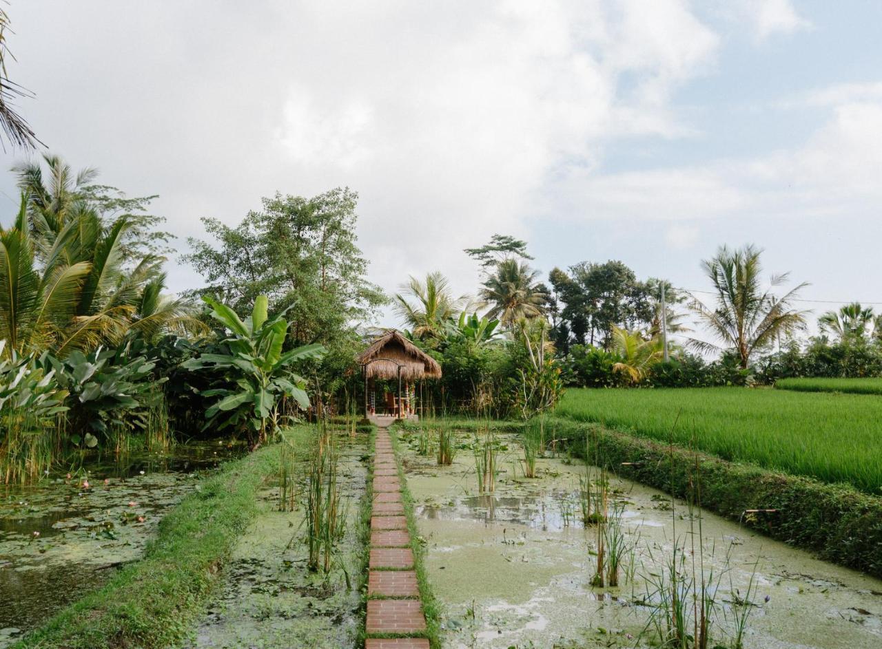 De Klumpu Bali Eco Tradi Stay Bangli Exteriér fotografie