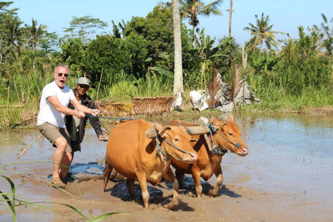 De Klumpu Bali Eco Tradi Stay Bangli Exteriér fotografie